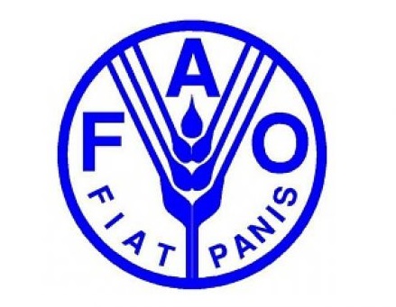 Региональная конференция ФАО для Европы пройдет в Воронеже