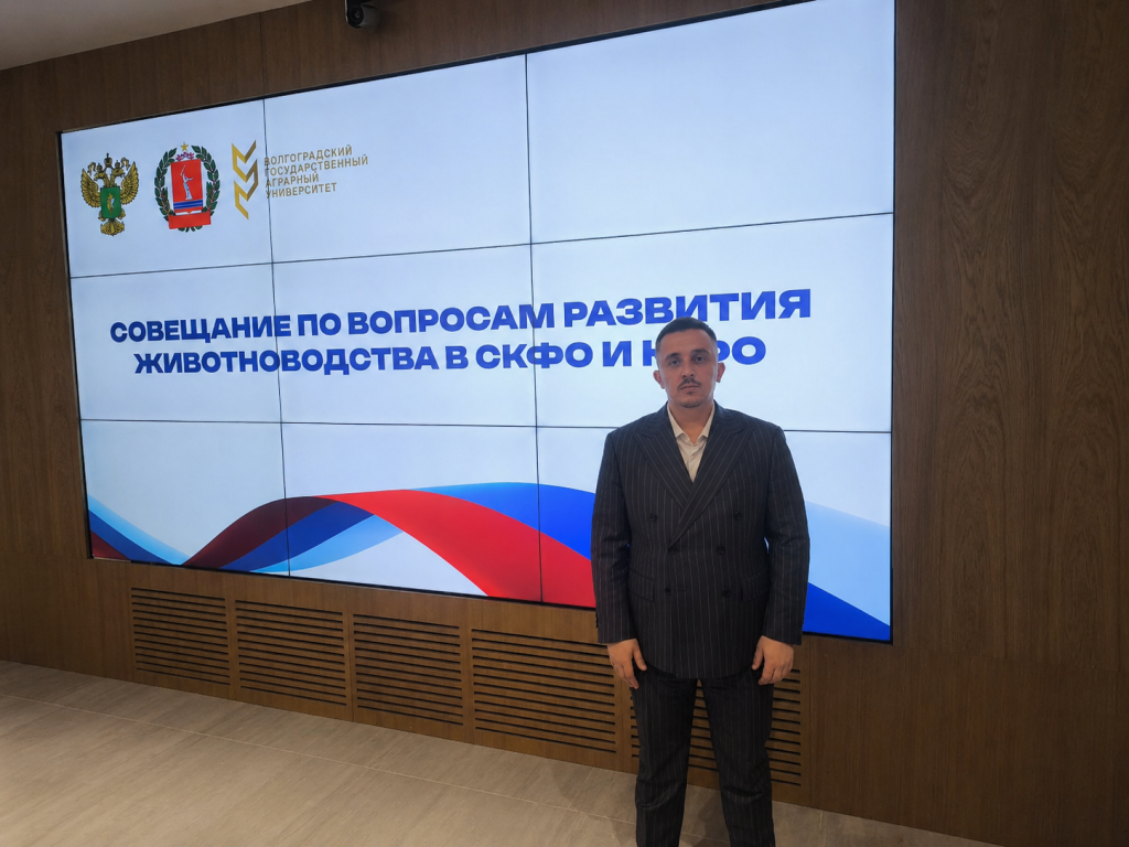02fjj_230426.png